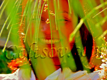 Color Enhancement - Goltsov Photography