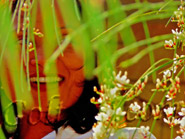 Model - Goltsov Photography Portrait